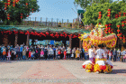 长鹿旅游休博园成为春节假期人气担当，喜迎游客近20万！